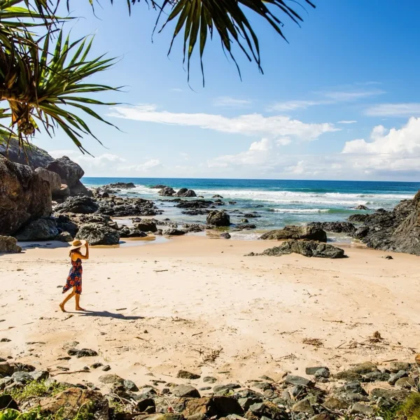 sydney to cairns bus tour