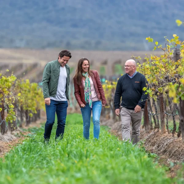 sydney to hunter valley tours
