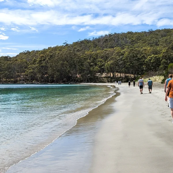 tasmania 10 day itinerary trip