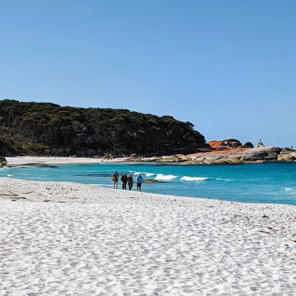 tasmania 10 day itinerary trips
