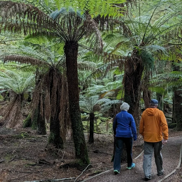 tasmania itinerary 10 days trip