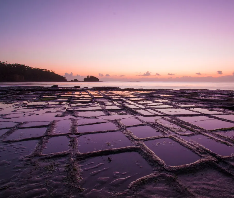 tasmania top things to do