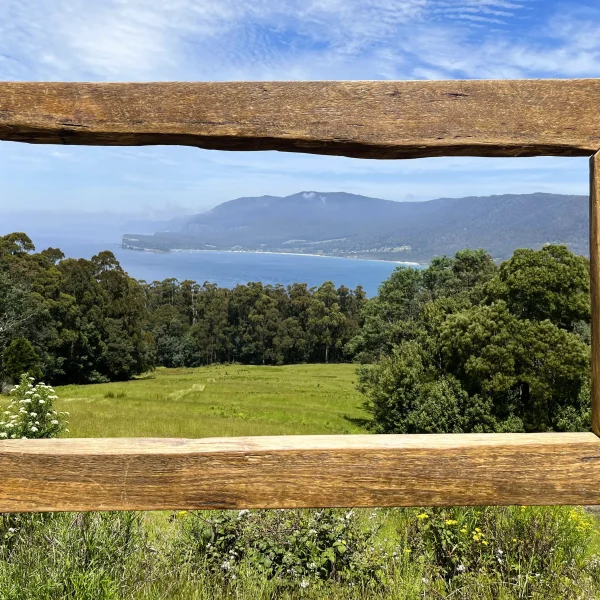tasmania tour in 10 days