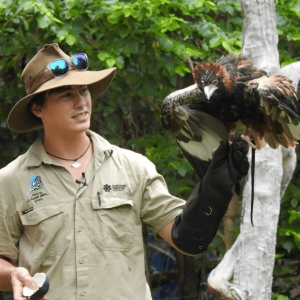territory wildlife park darwin nt