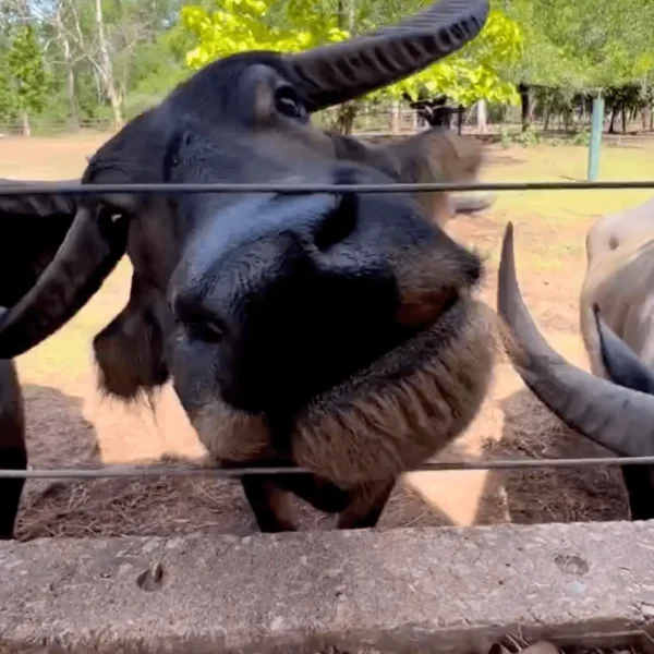 territory wildlife park opening hours