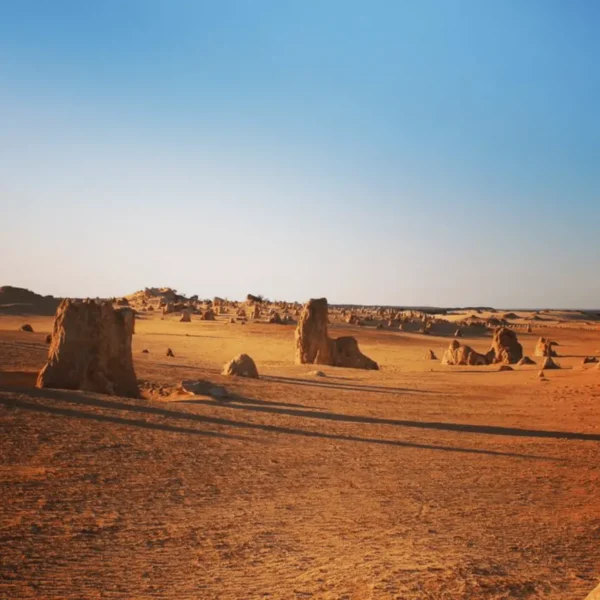 the pinnacles tour