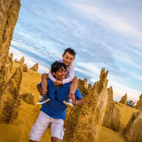 the pinnacles tours