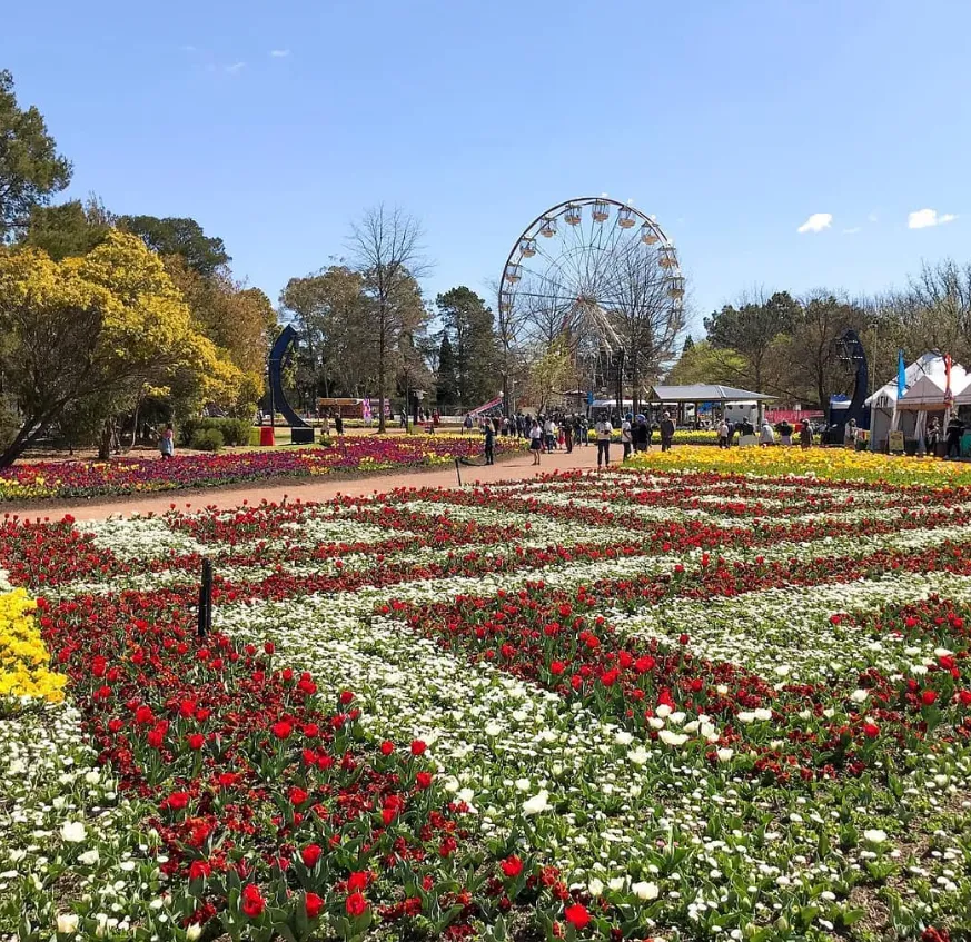 things to do and see in canberra