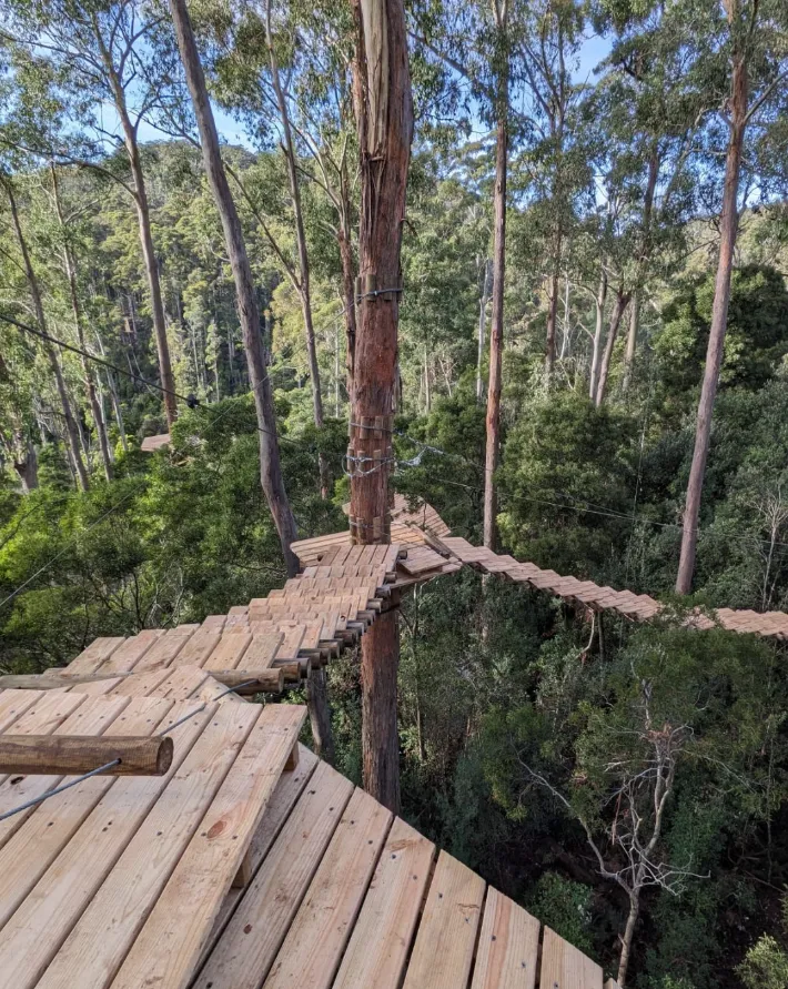 things to do around cairns