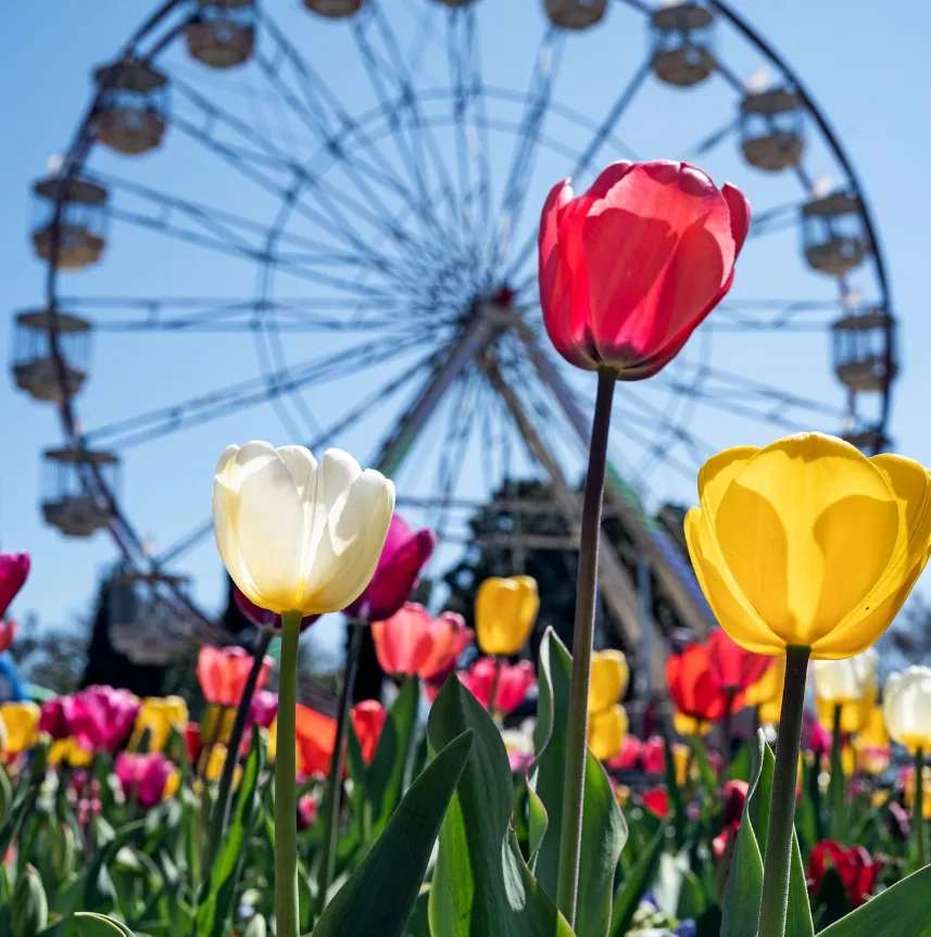 things to do around canberra