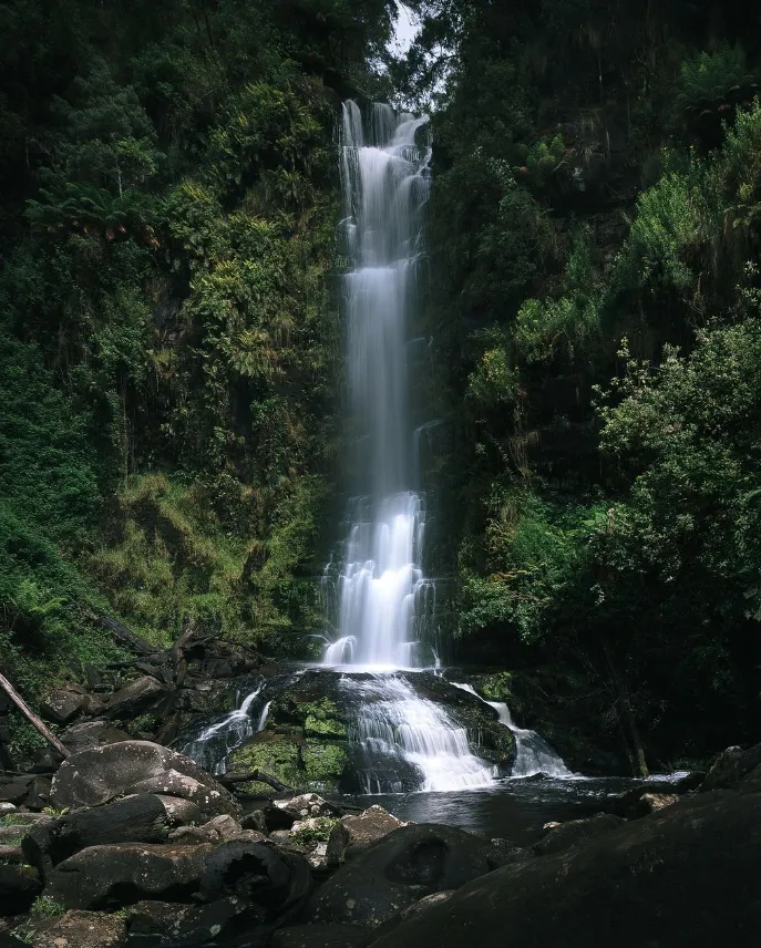 things to do at lorne