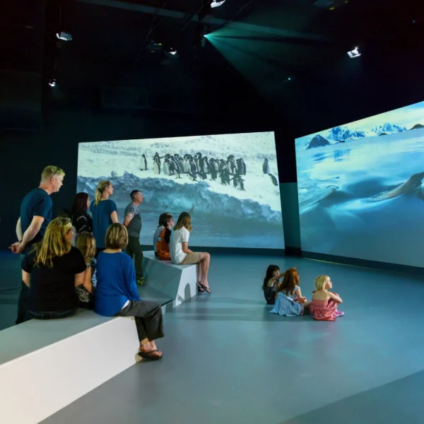 things to do at phillip island