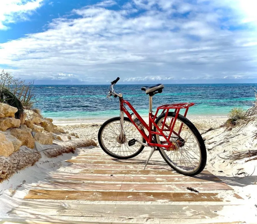 things to do at rottnest