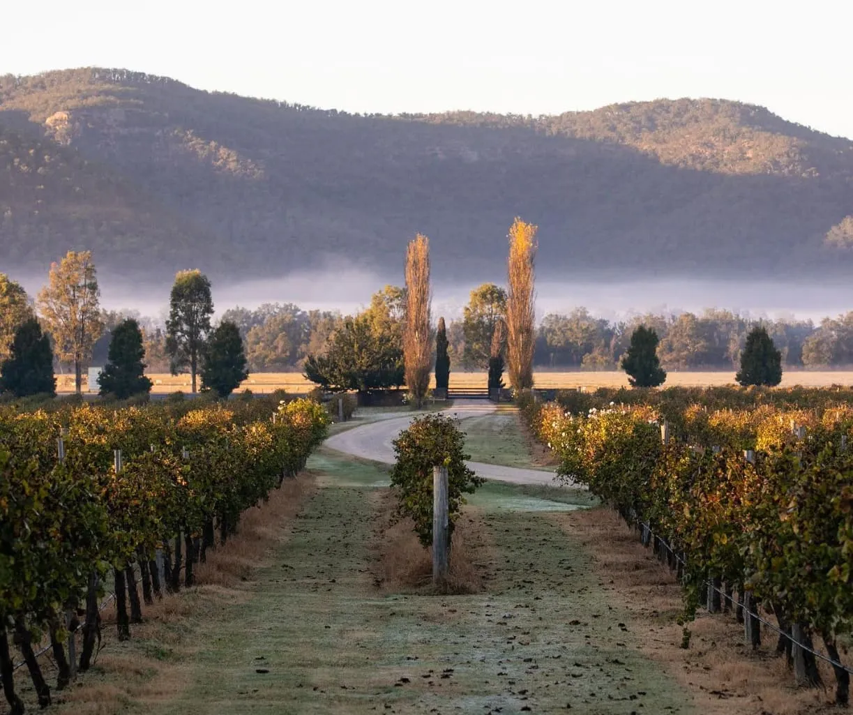 things to do at the hunter valley