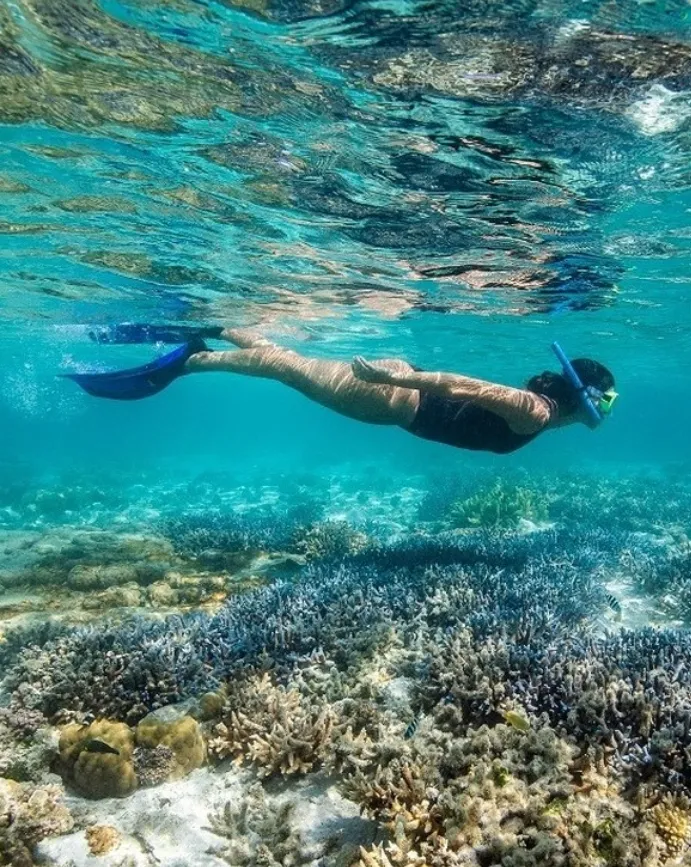 things to do at the whitsundays