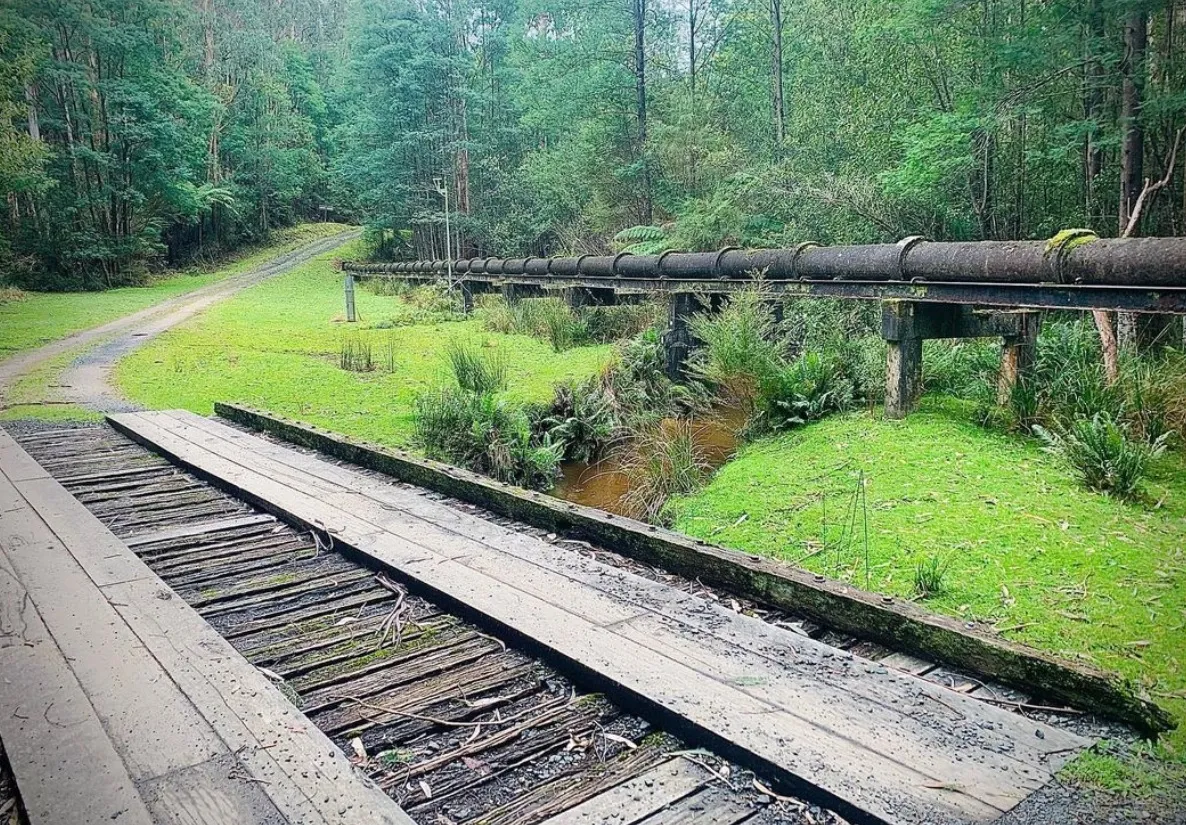 things to do dandenongs