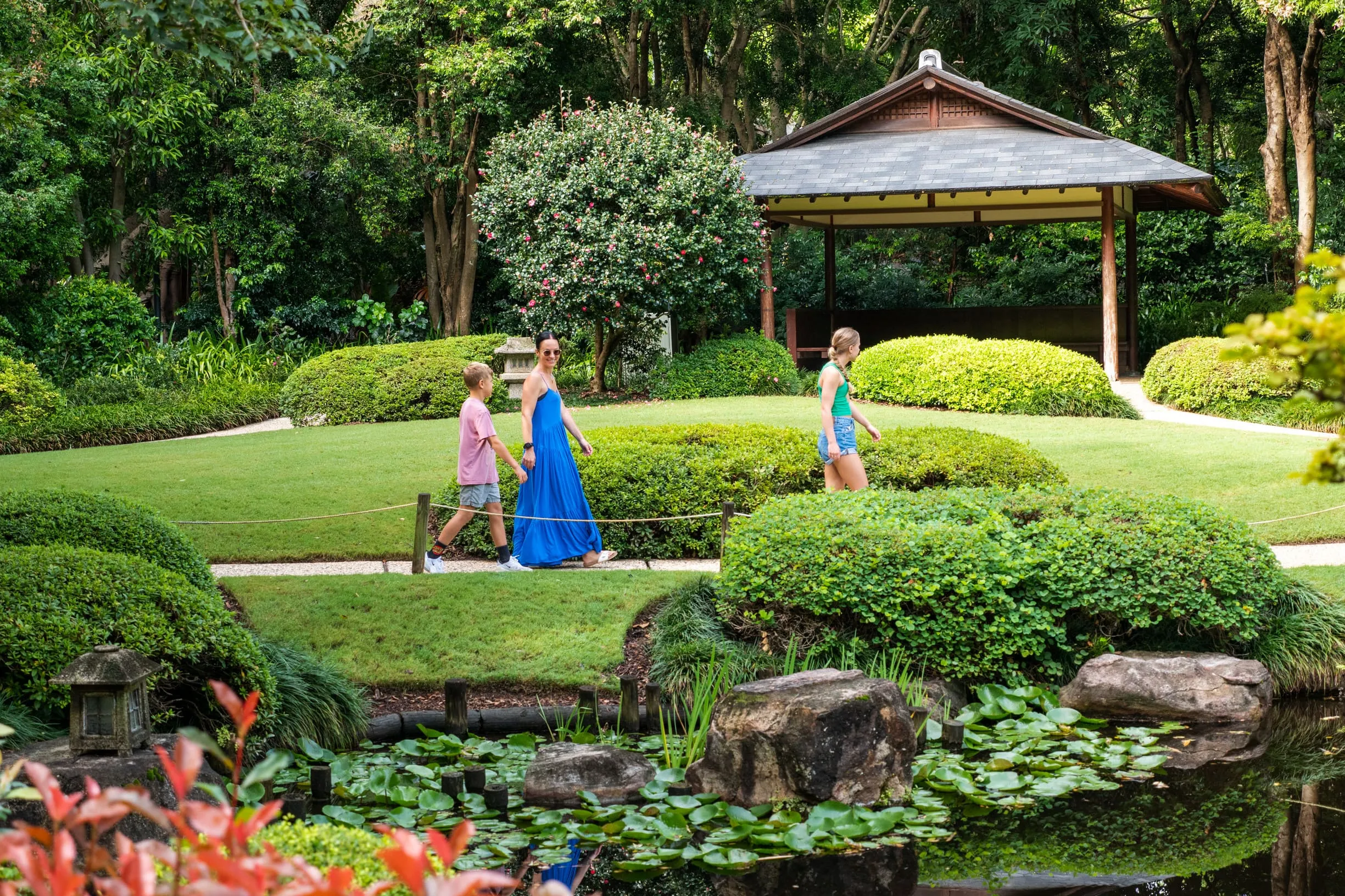 things to do in brisbane cbd