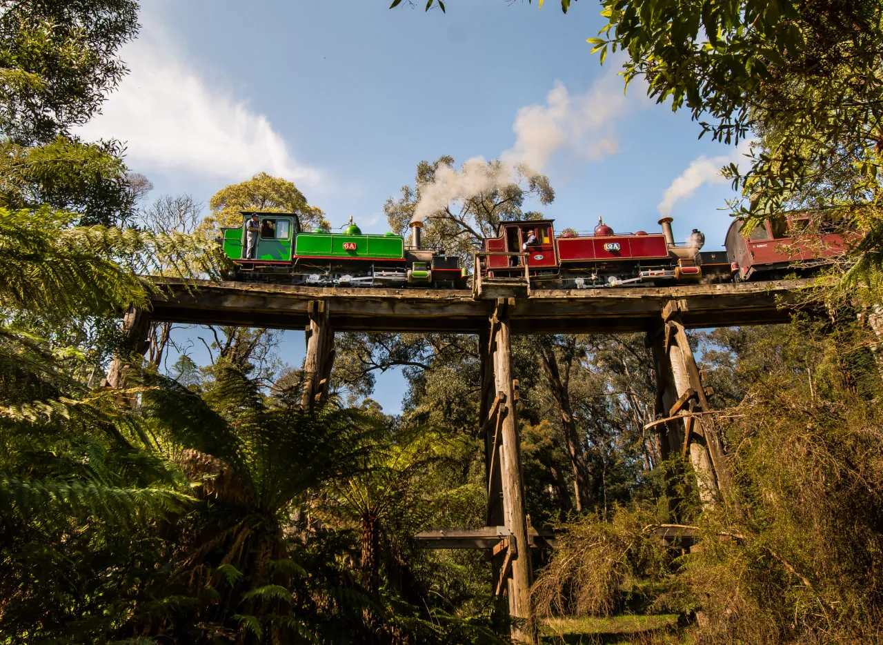 things to do in dandenong