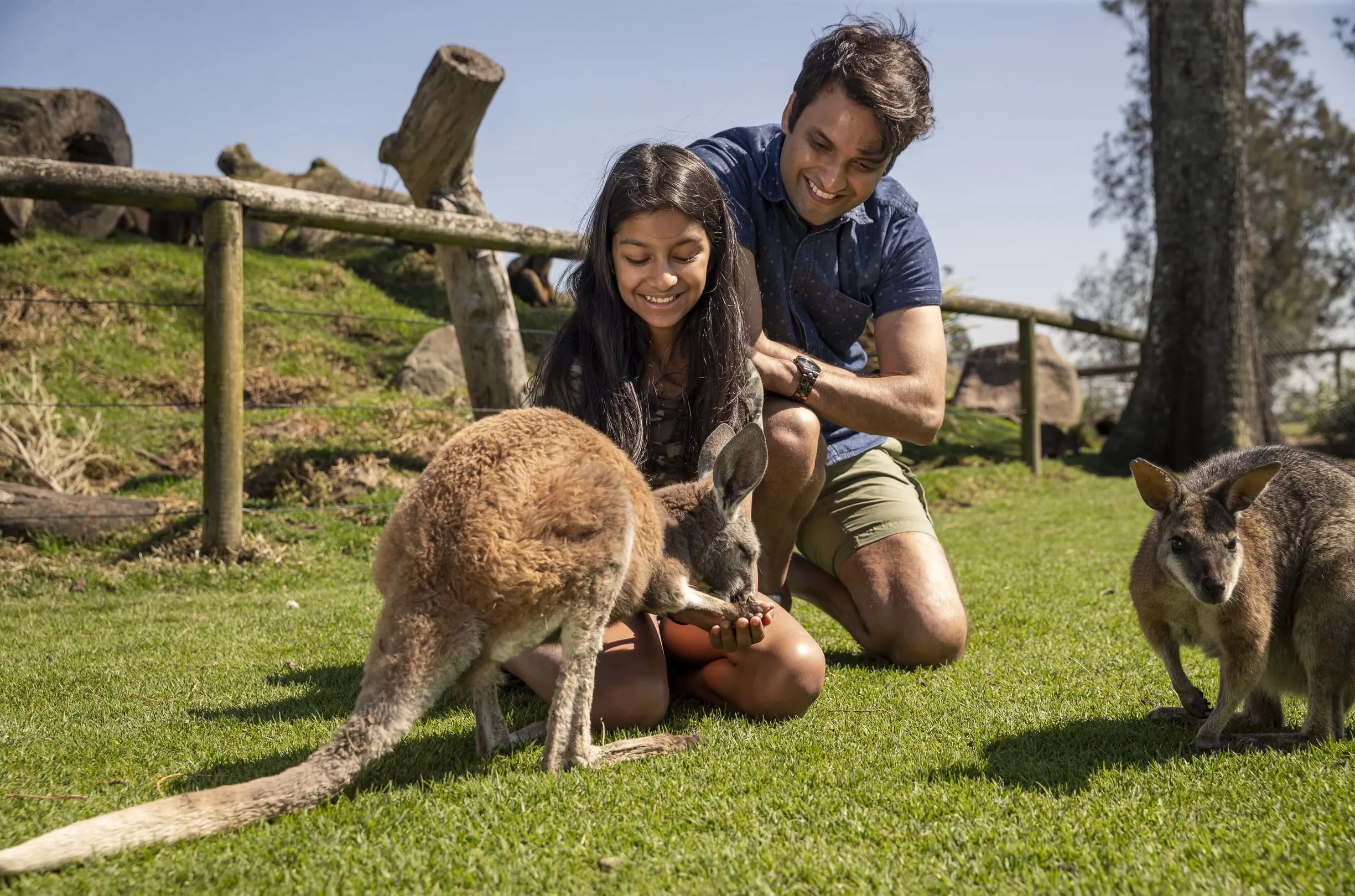 things to do in hunter valley this weekend