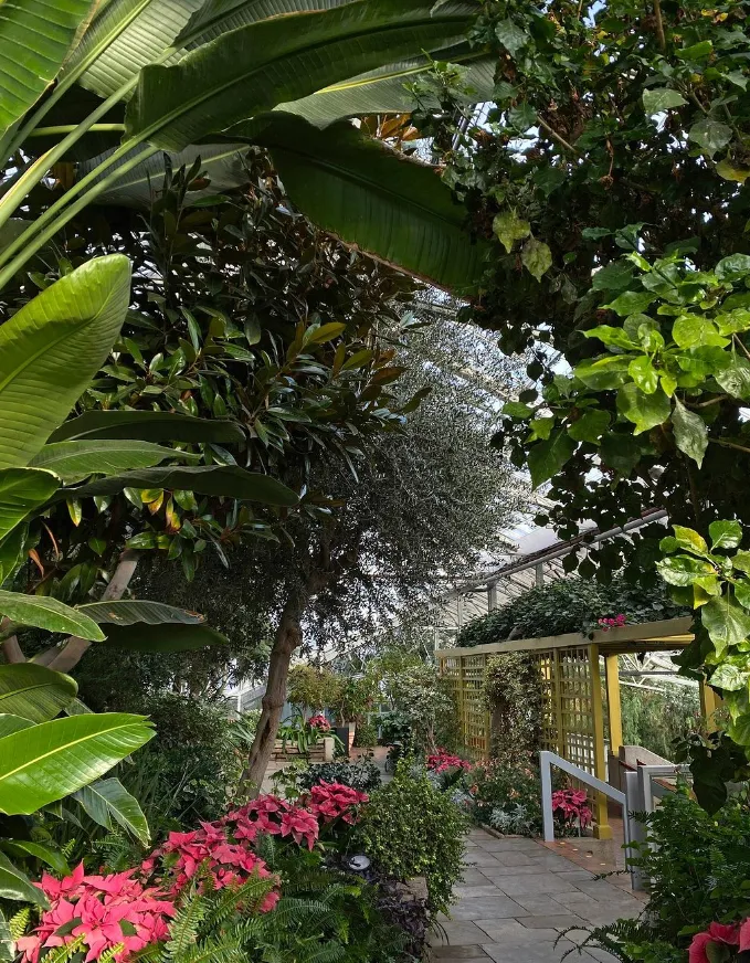 things to do in melbourne cbd