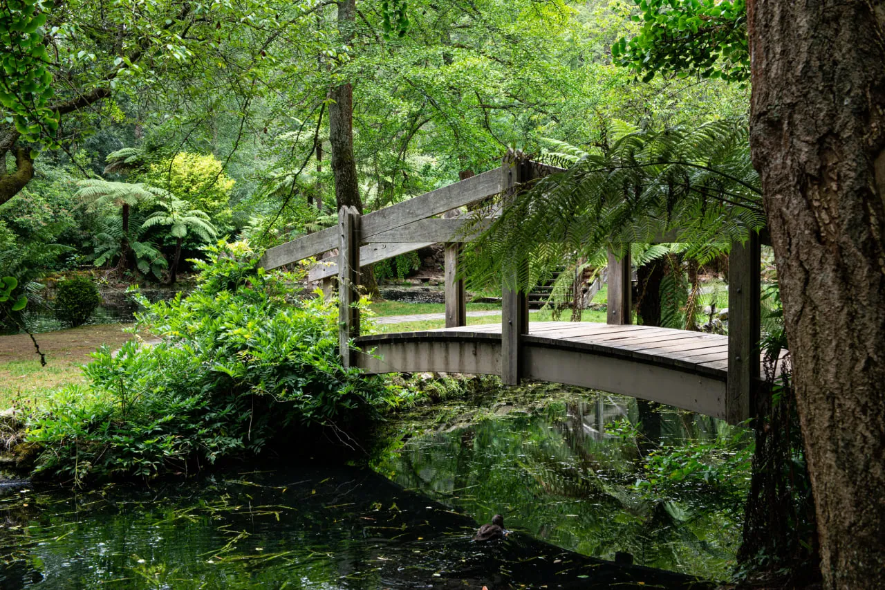things to do in mount dandenong victoria