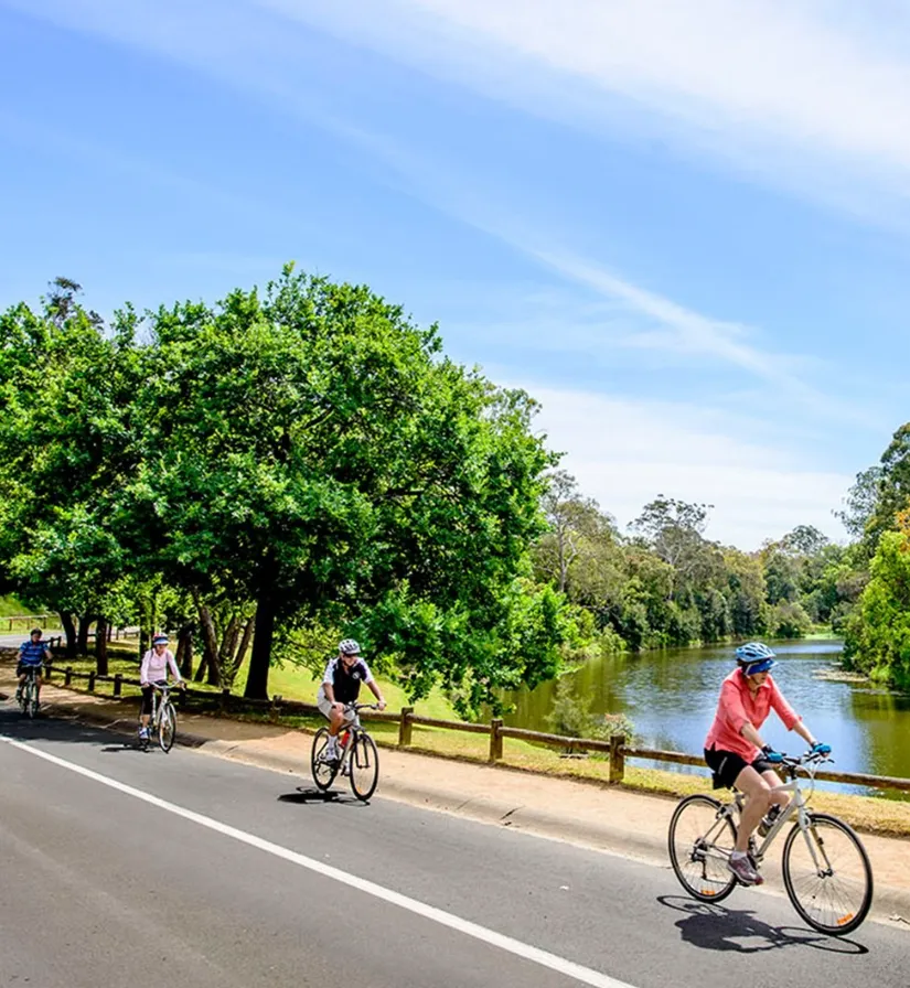 things to do in parramatta sydney