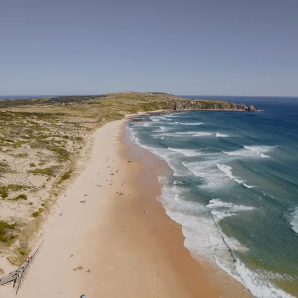 things to do in phillip island today