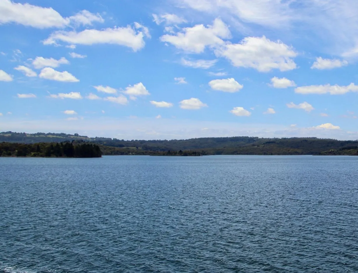 things to do in the dandenong ranges