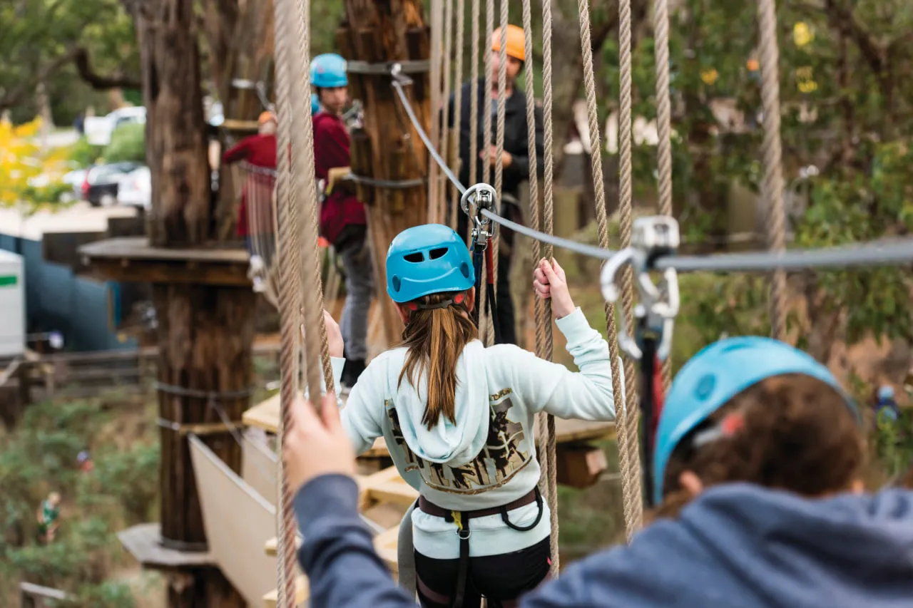 things to do in the dandenongs