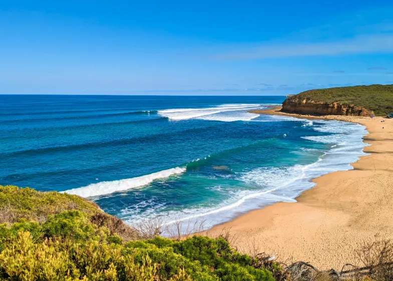 things to do in torquay victoria
