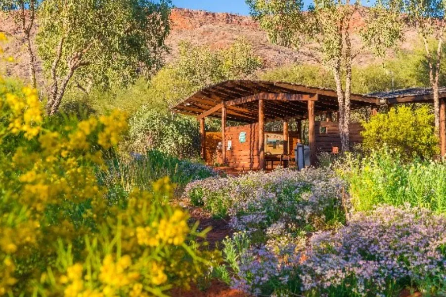 things to do near alice springs
