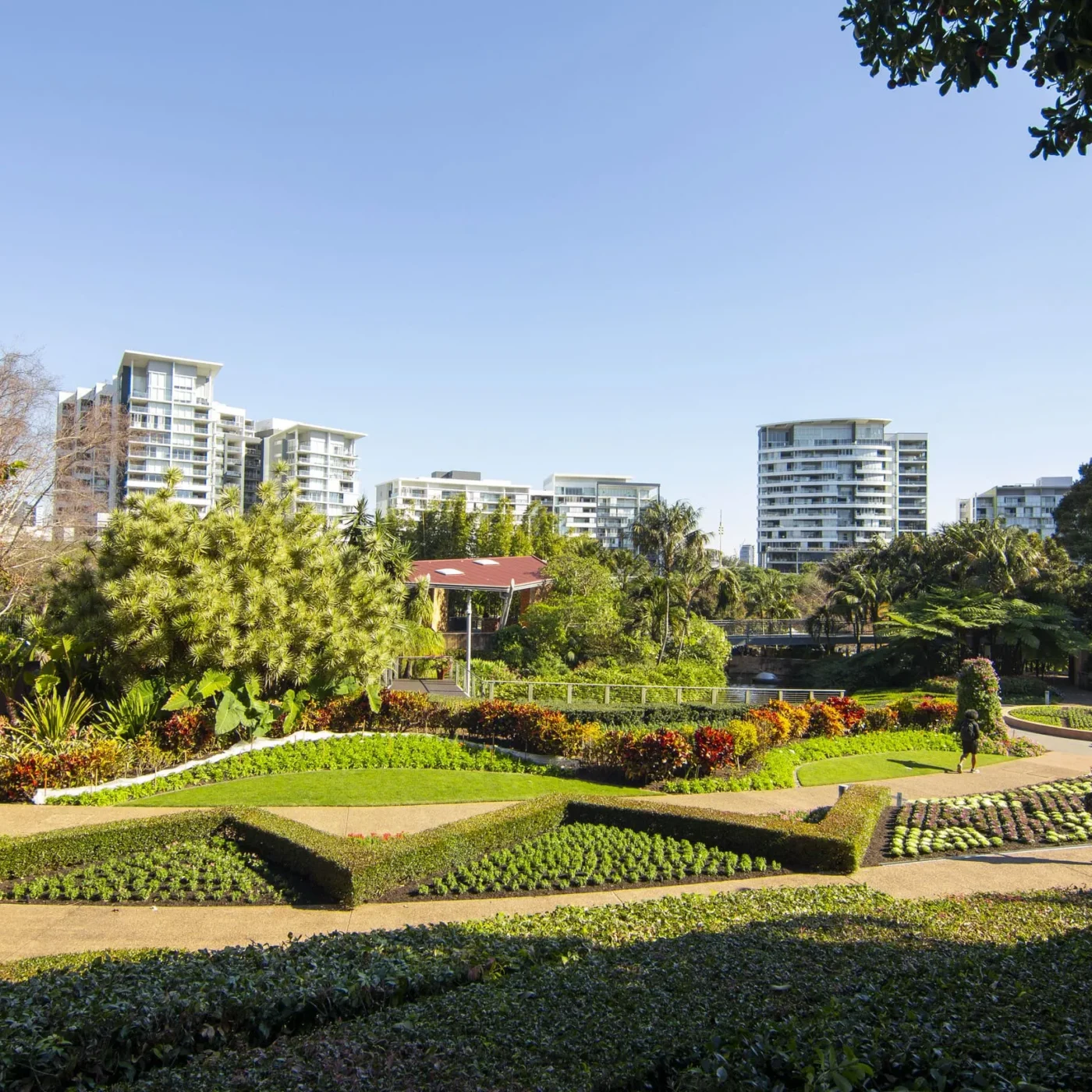 things to do near brisbane