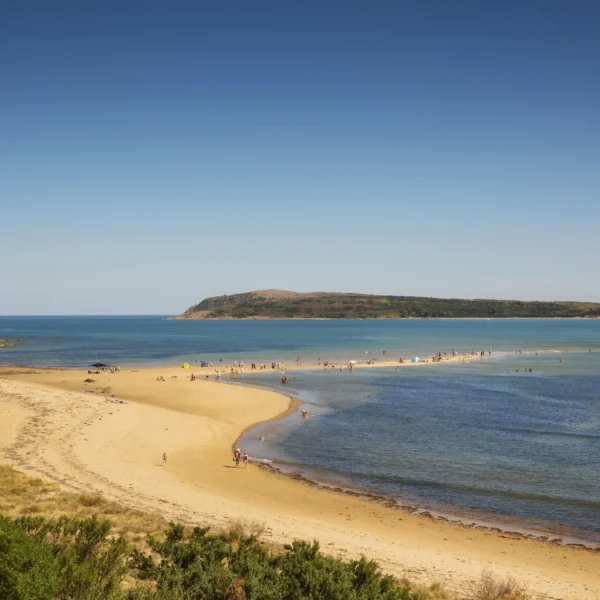 things to do near phillip island