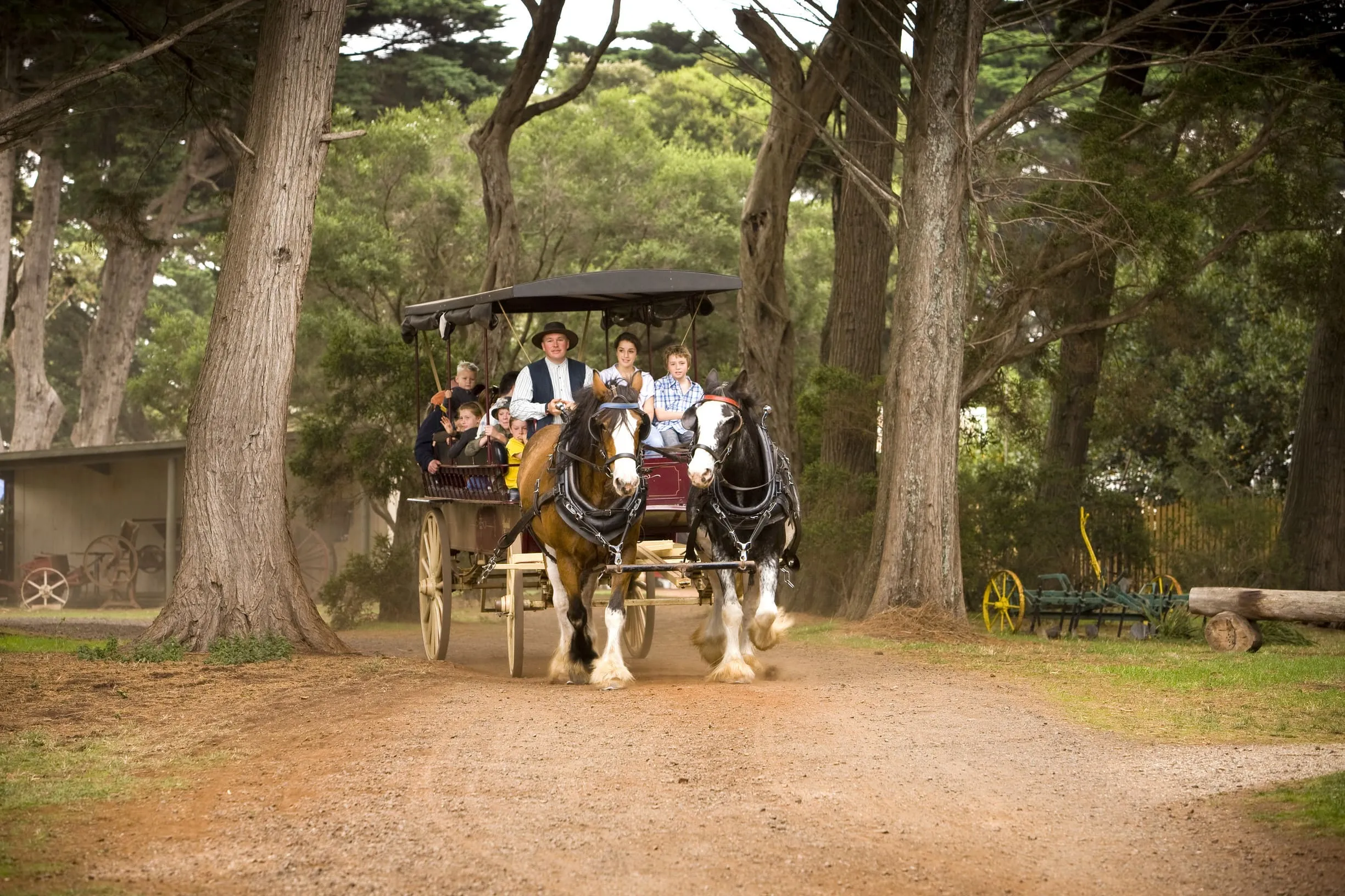 things to do on phillip island