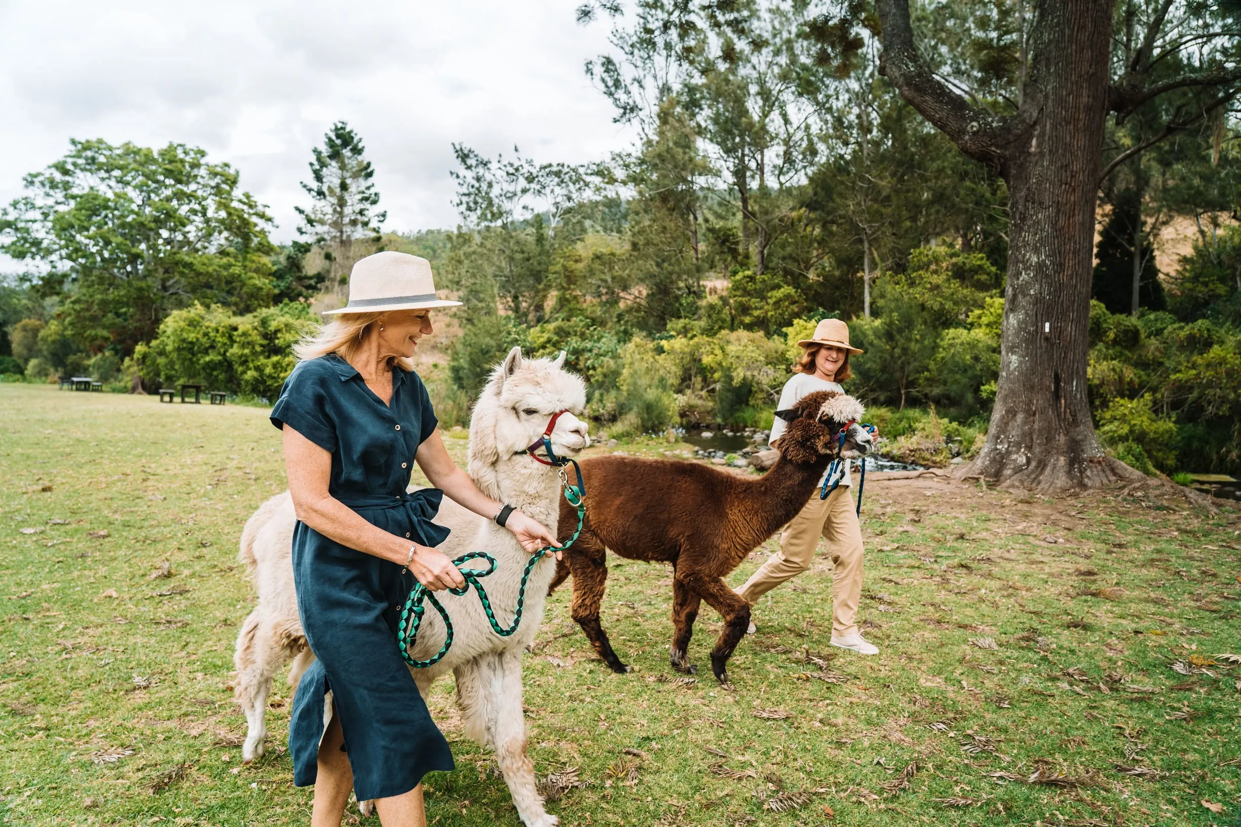 things to do qld