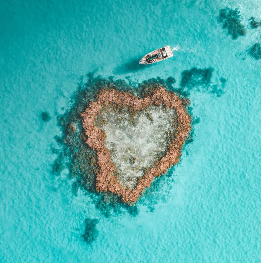 things to do whitsundays