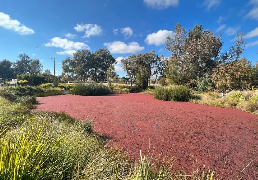 things to do at canberra