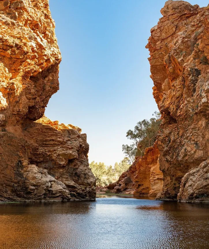 things to see and do in alice springs