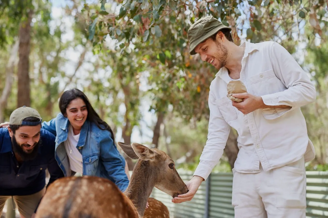 things to see in grampians