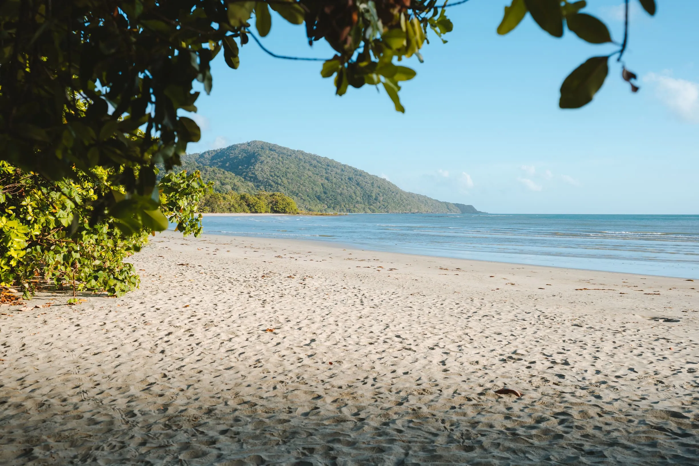 things to see in port douglas