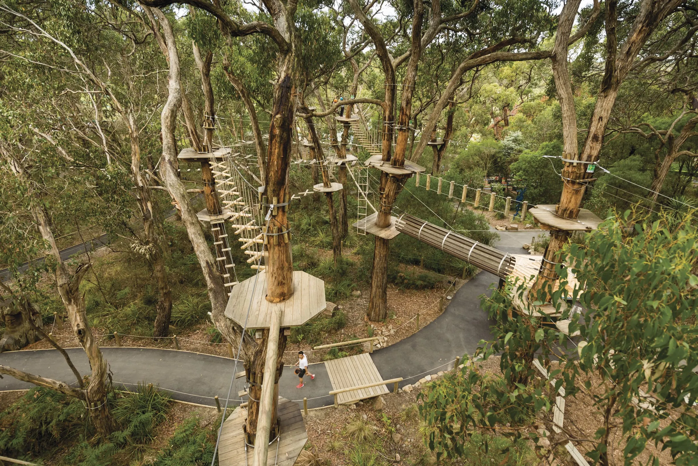 things to see mornington peninsula