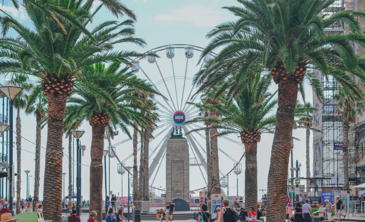 things to.do.in adelaide