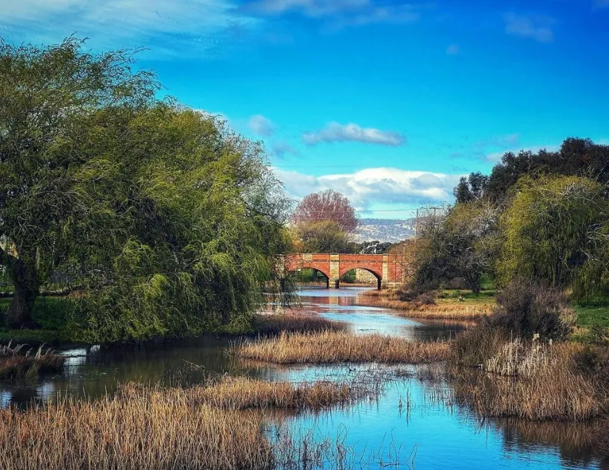 top 5 things to do in tasmania
