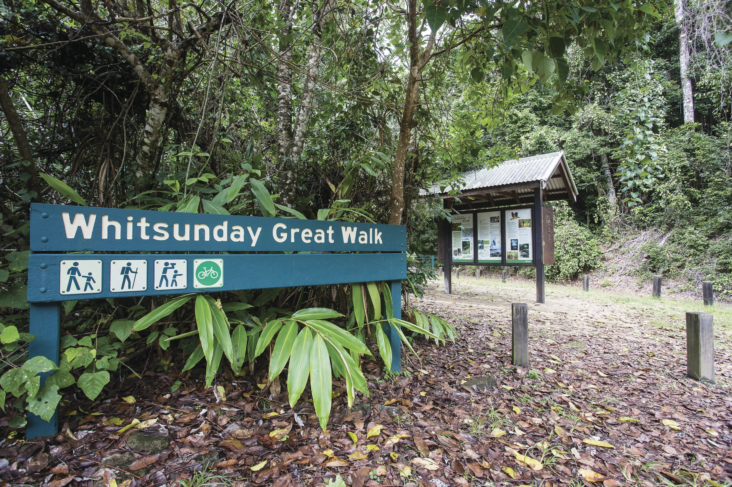 top things to do in airlie beach