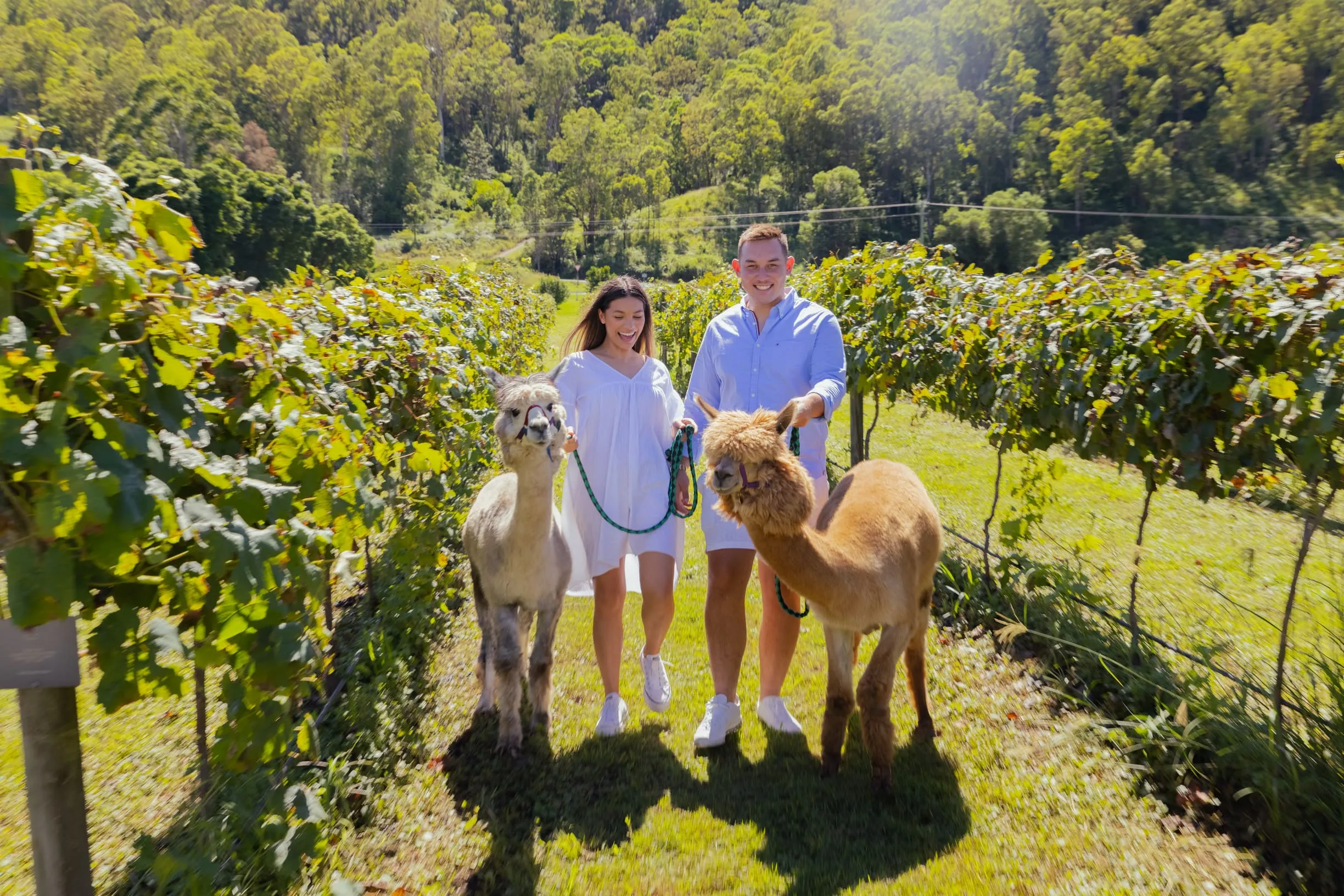 top things to do in queensland