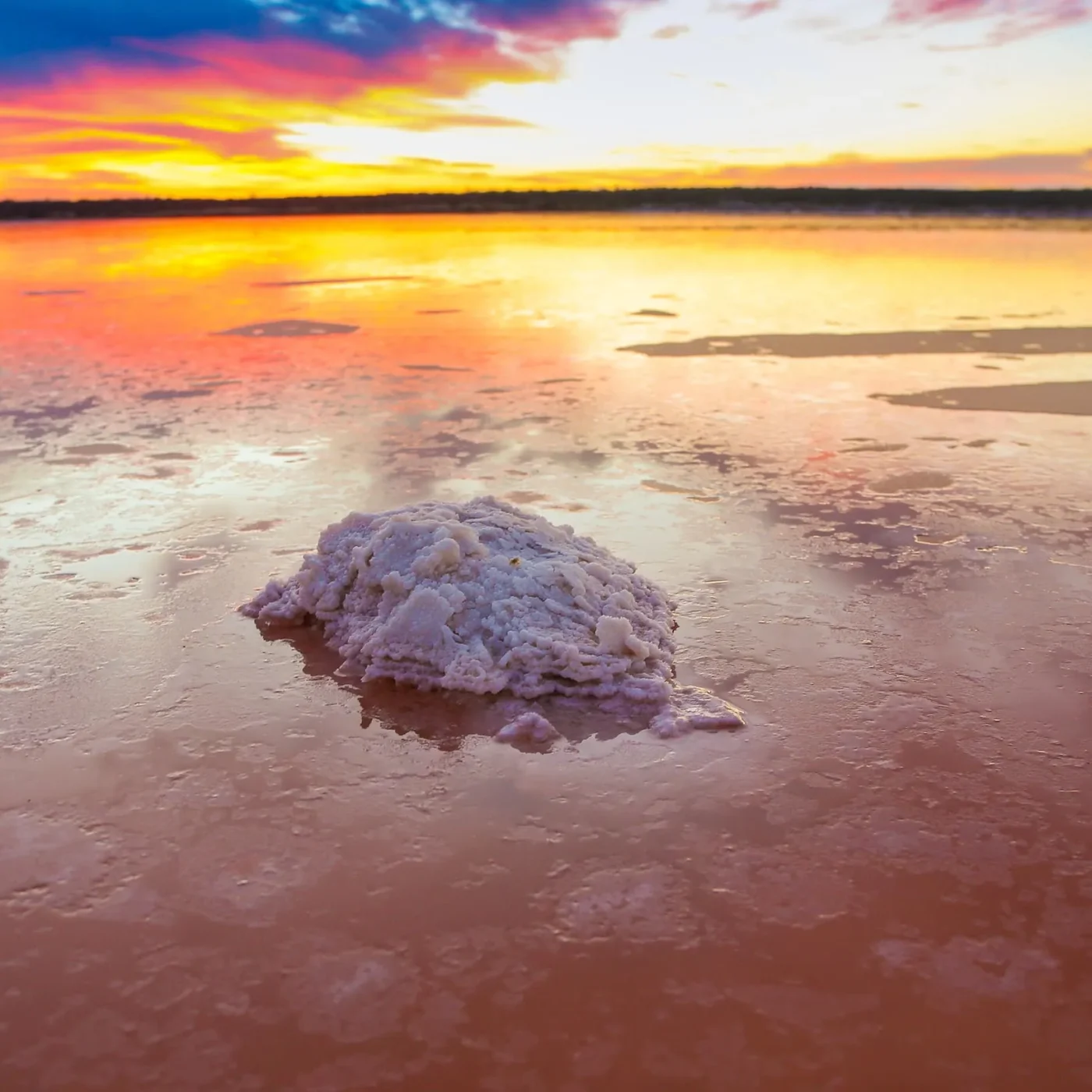 top things to do in victoria