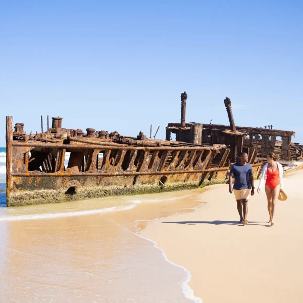 tour australia from sydney to brisbane