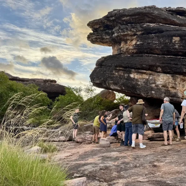 tour kakadu