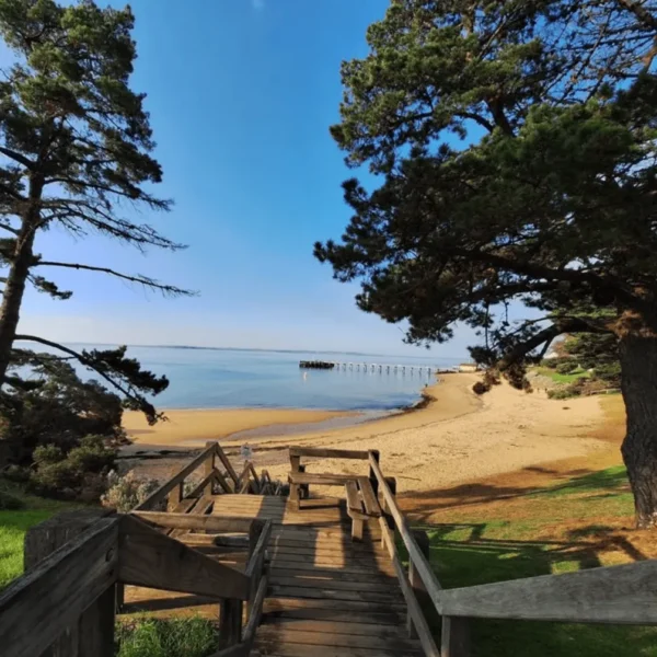 tour to phillip island