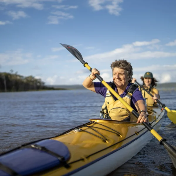 tours australia from sydney to brisbane